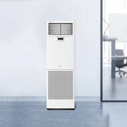 Floor Standing PSY-ZM30/SUY-ZM30