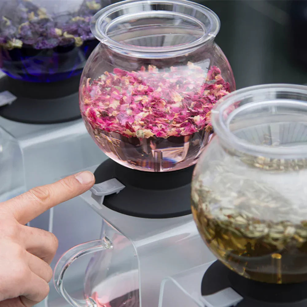 Hario Tea Dripper LARGO set