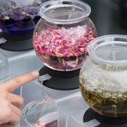 Hario Tea Dripper LARGO set