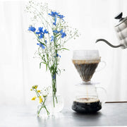 Hario V60 Drip-Assist image 4