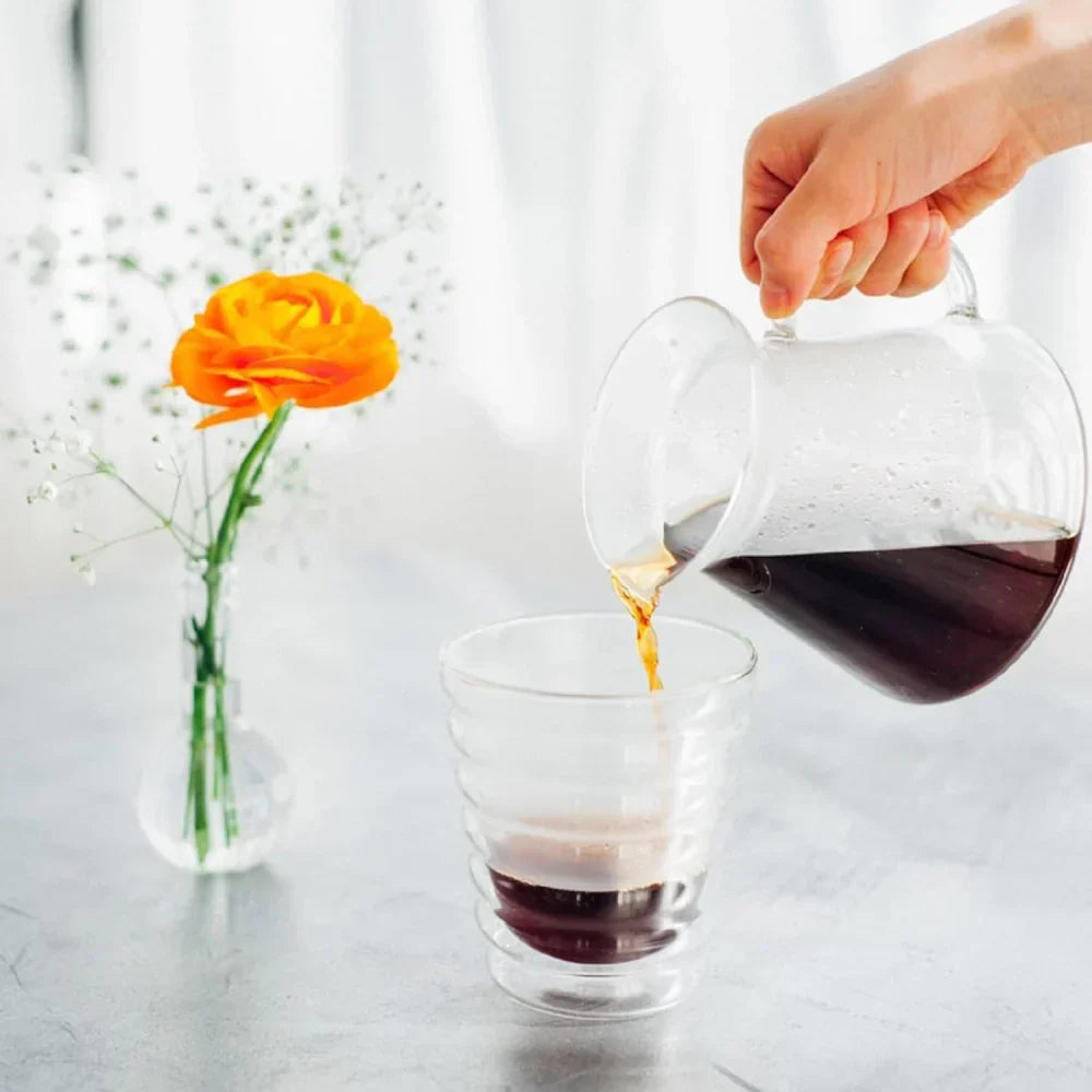 Hario V60 glass brewing kit