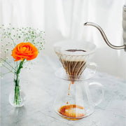 Hario V60 glass brewing kit